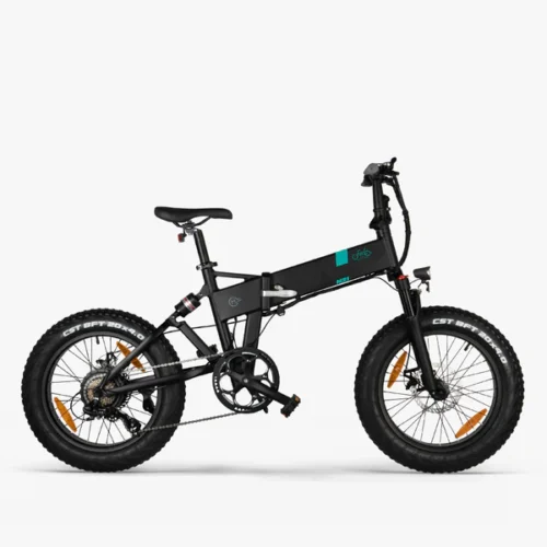 Fiido M21 – Vélo électrique Randonnée Avec Capteur De Couple